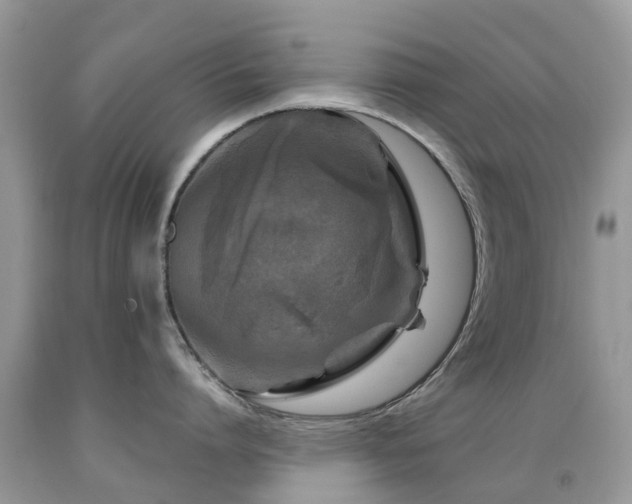 X0000092000864200709061437