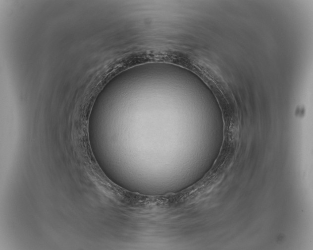 X0000092000865200709061437