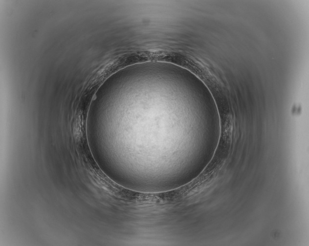 X0000092000866200709061437