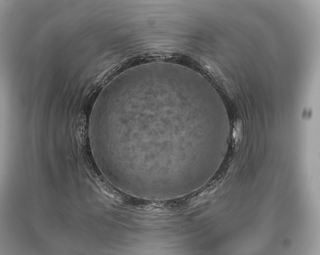 X0000092000867200709061437