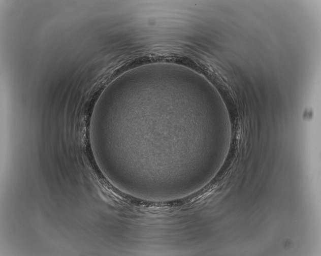 X0000092000868200709061437