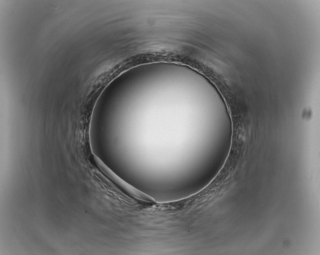 X0000092000869200709061437