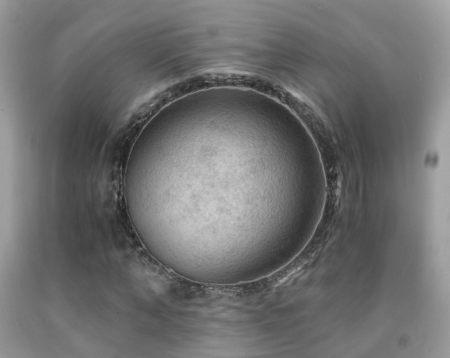 X0000092000870200709061437