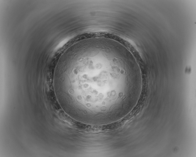 X0000092000871200709061437