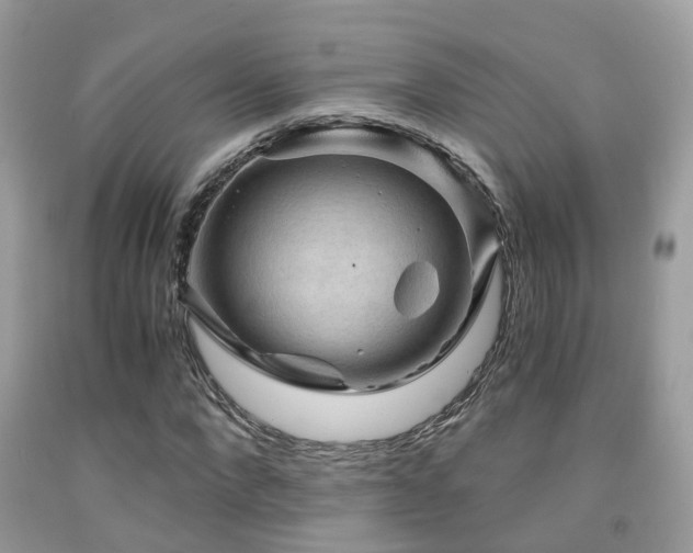 X0000092000872200709061437