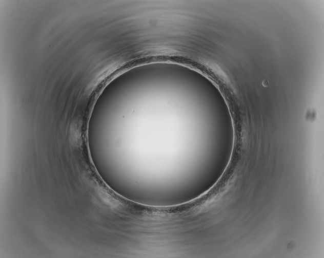 X0000092000873200709061437