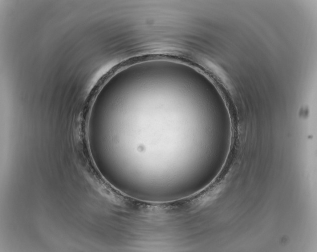 X0000092000875200709061437