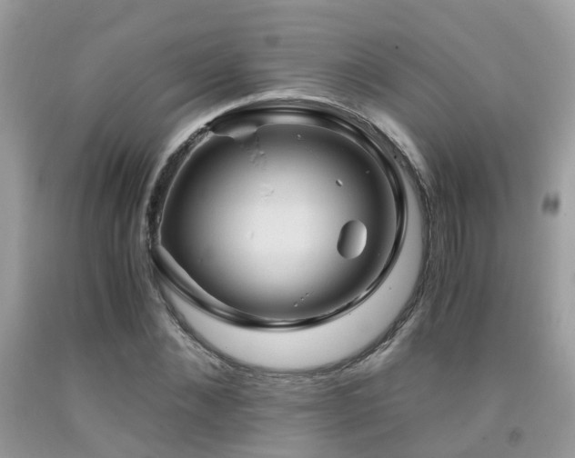 X0000092000876200709061437