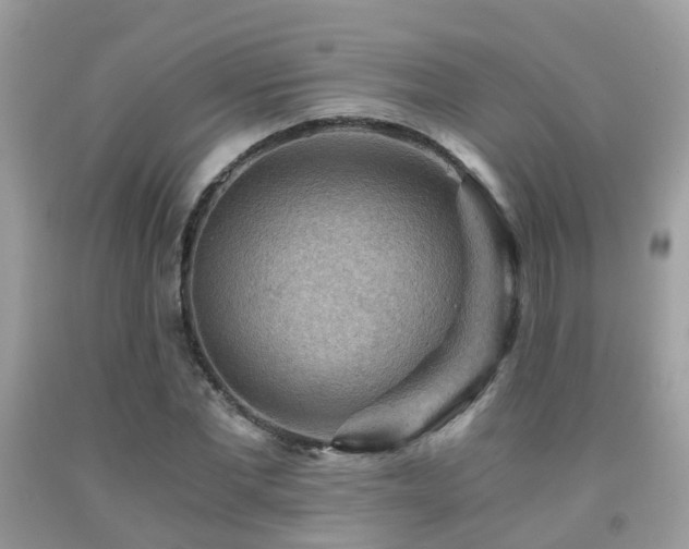 X0000092000877200709061437