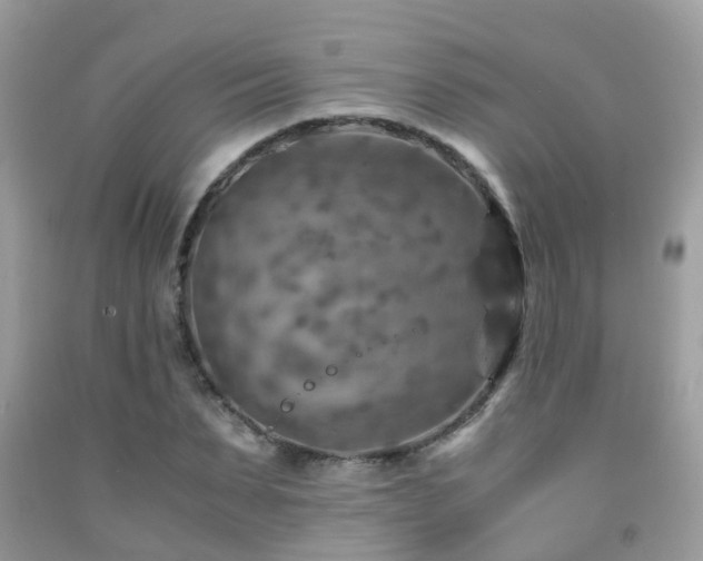 X0000092000879200709061437