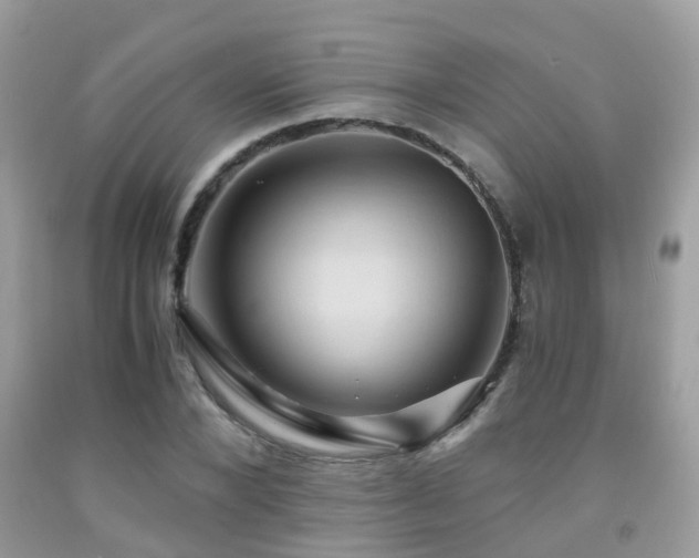 X0000092000880200709061437