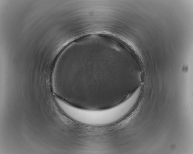 X0000092000881200709061436