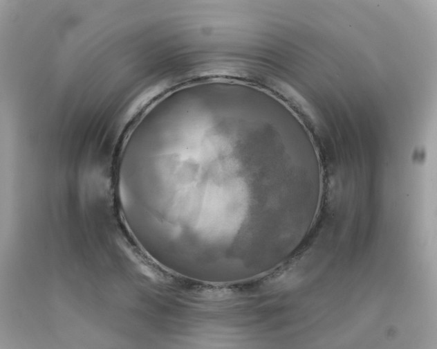 X0000092000882200709061436