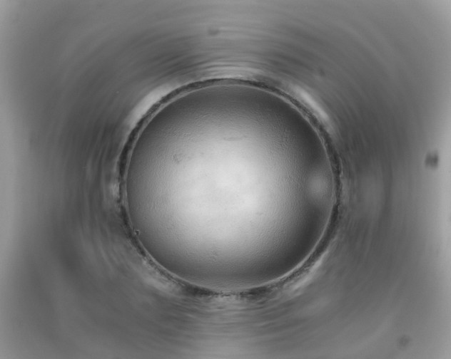 X0000092000883200709061436