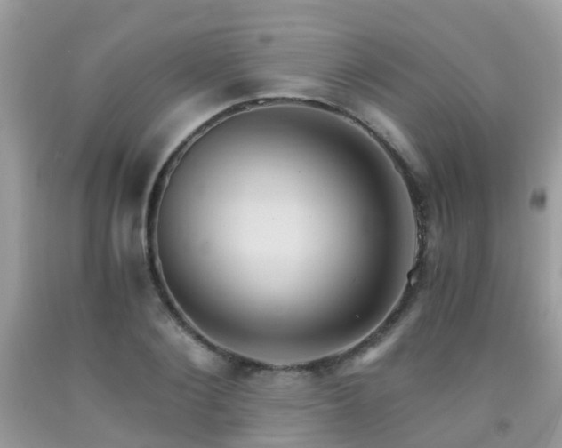 X0000092000884200709061436