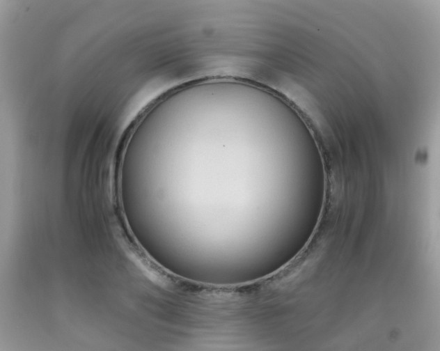 X0000092000886200709061436