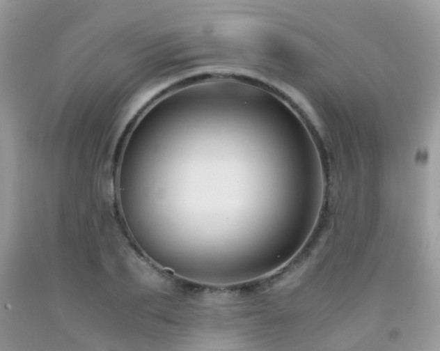 X0000092000887200709061436