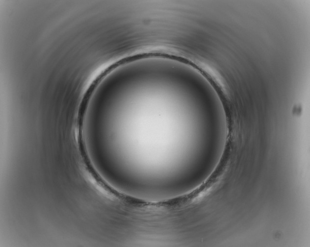 X0000092000888200709061436