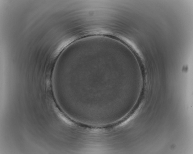 X0000092000889200709061436