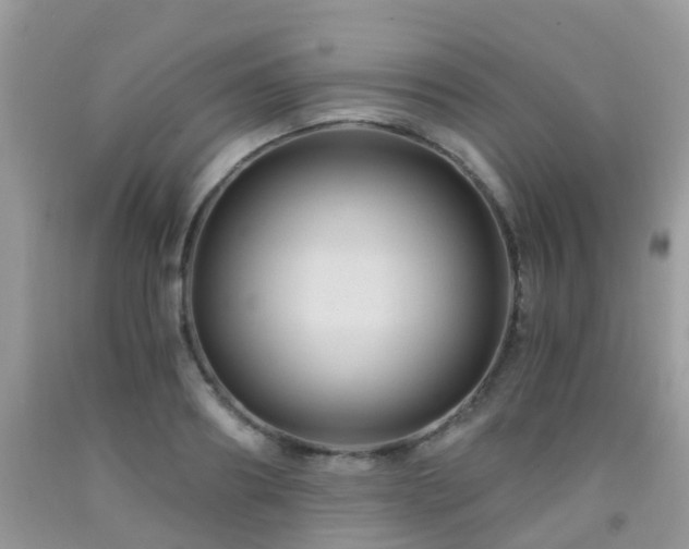 X0000092000890200709061436