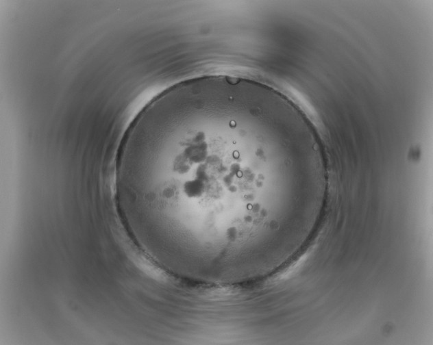 X0000092000891200709061436