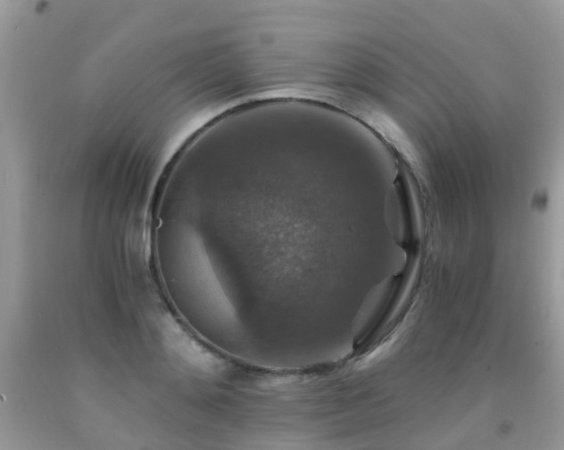 X0000092000892200709061436