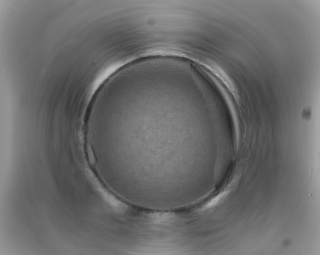 X0000092000893200709061436