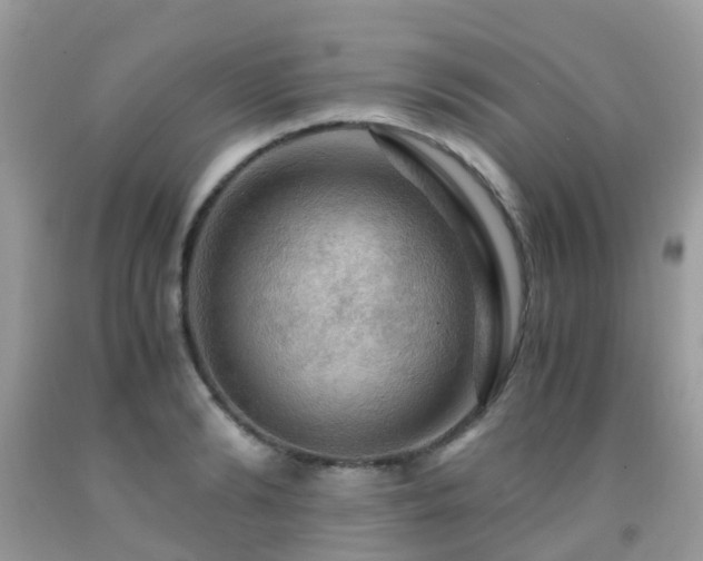 X0000092000894200709061436