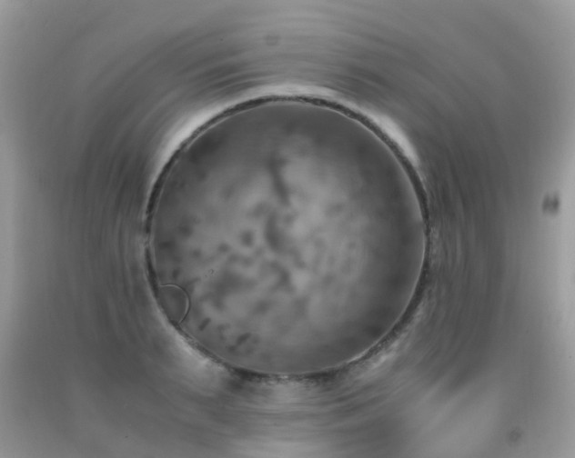 X0000092000895200709061436