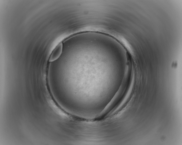 X0000092000896200709061436