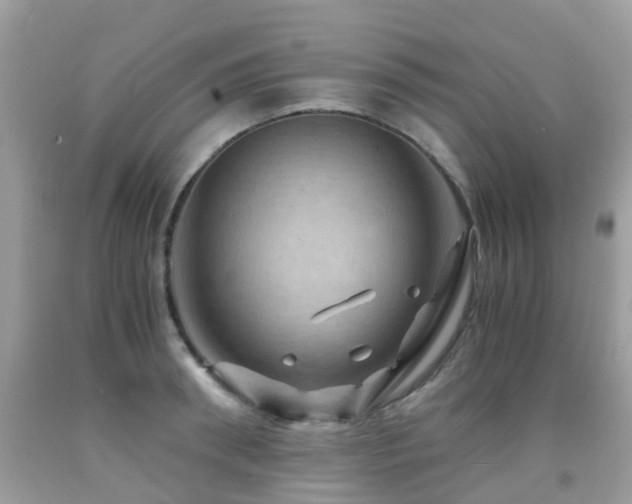 X0000092000898200709061436