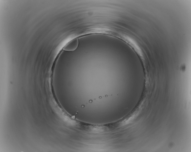 X0000092000899200709061436