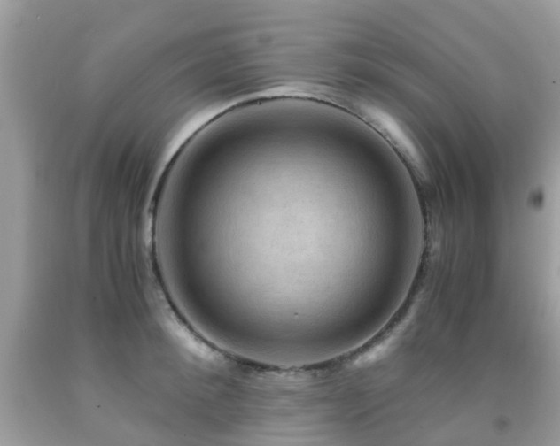 X0000092000900200709061436