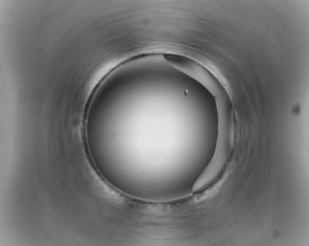 X0000092000901200709061436