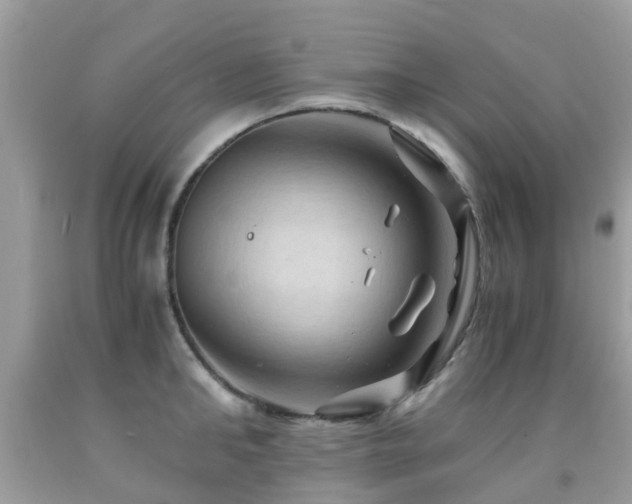 X0000092000902200709061436