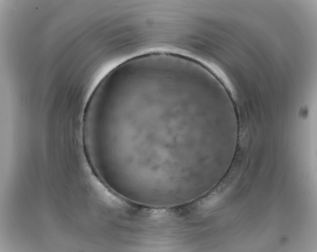 X0000092000903200709061436