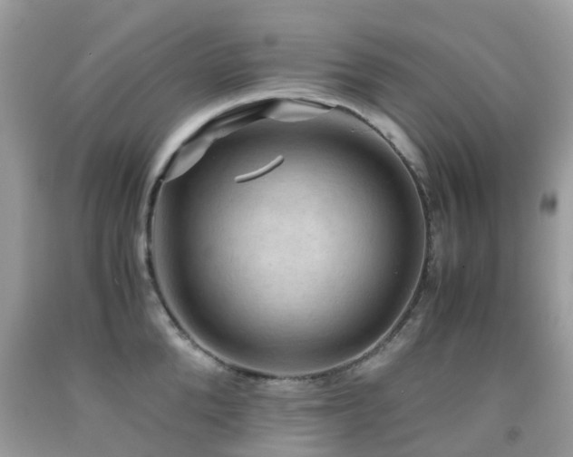 X0000092000904200709061436