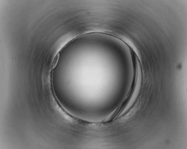 X0000092000906200709061436