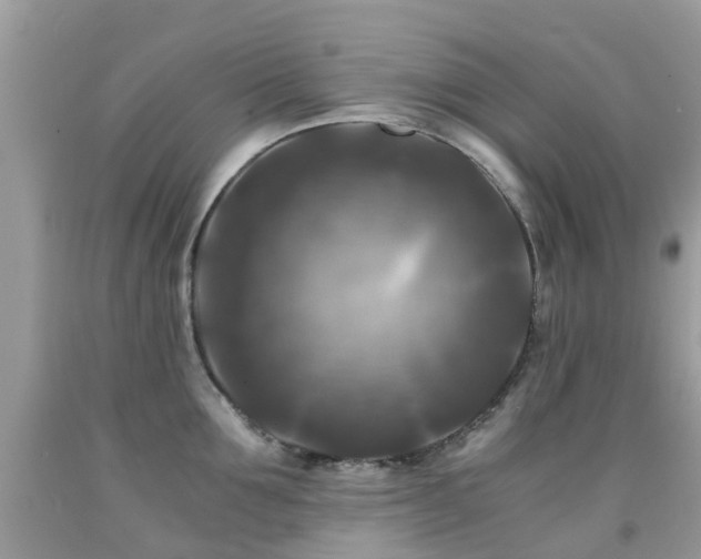 X0000092000907200709061436