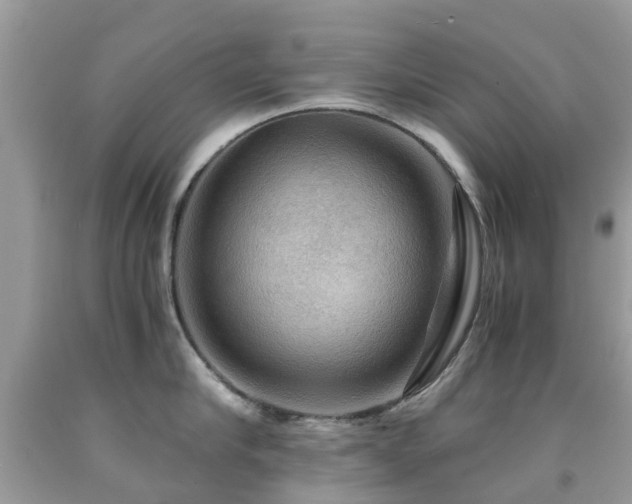 X0000092000910200709061436