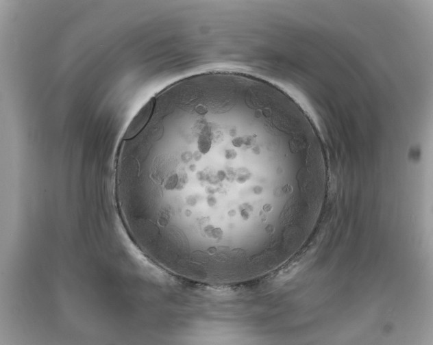 X0000092000911200709061436