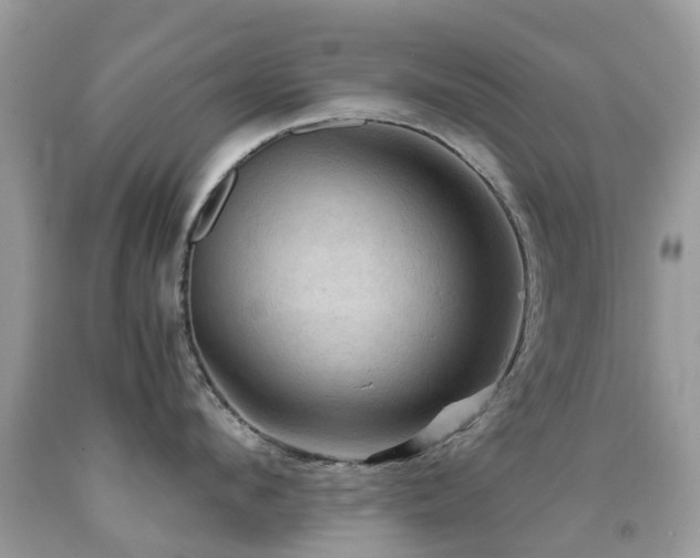 X0000092000912200709061436