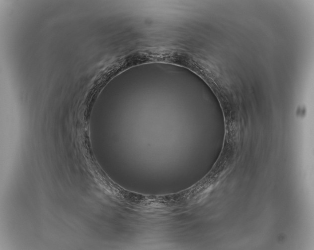 X0000092000913200709061436