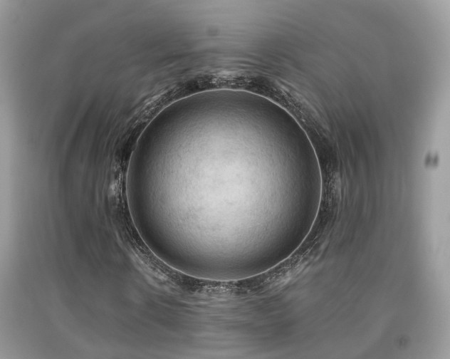 X0000092000914200709061436