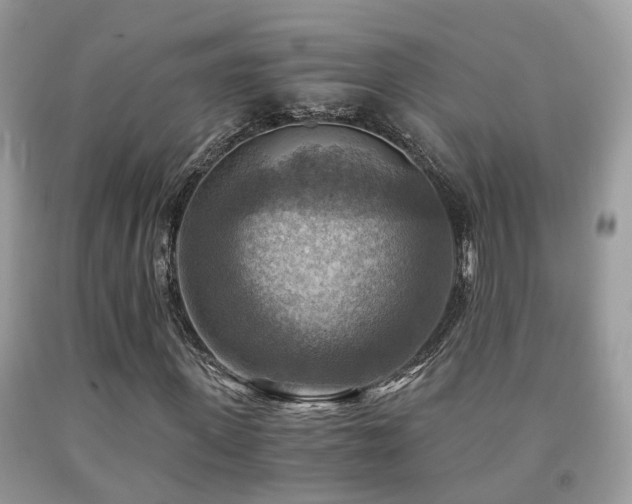 X0000092000915200709061436