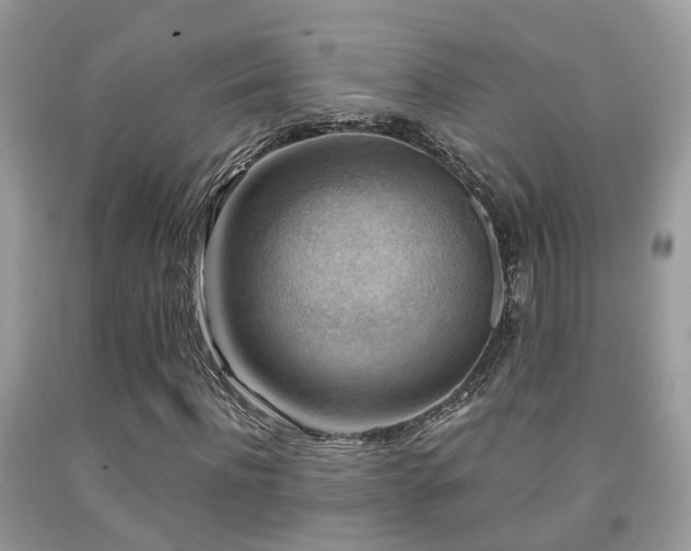 X0000092000916200709061436