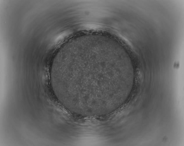 X0000092000918200709061436