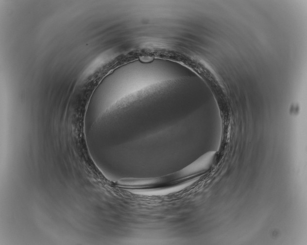 X0000092000919200709061436