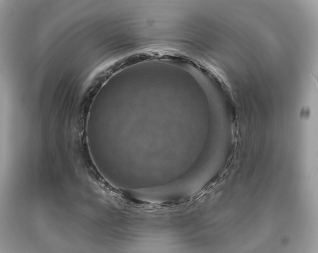 X0000092000920200709061436