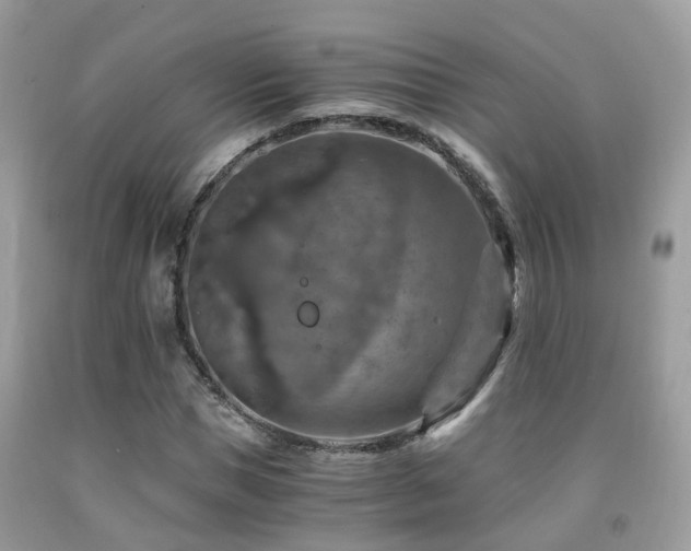 X0000092000921200709061436